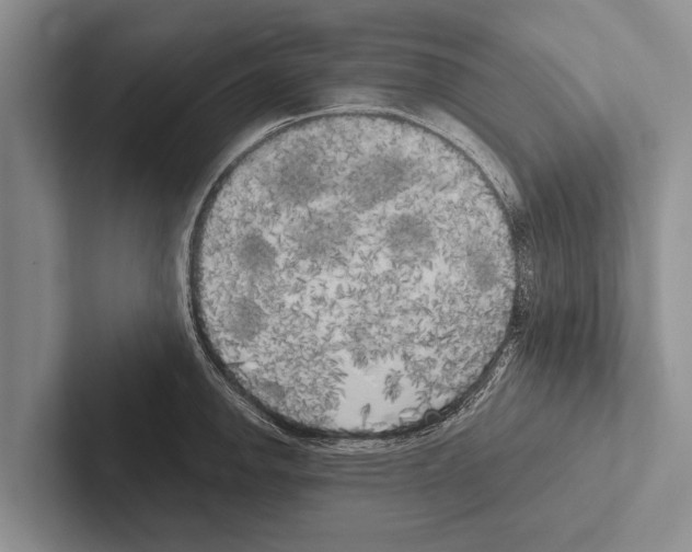X0000102531142200809051504