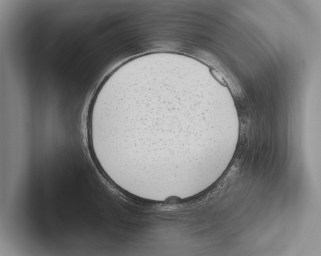 X0000102531143200809051504