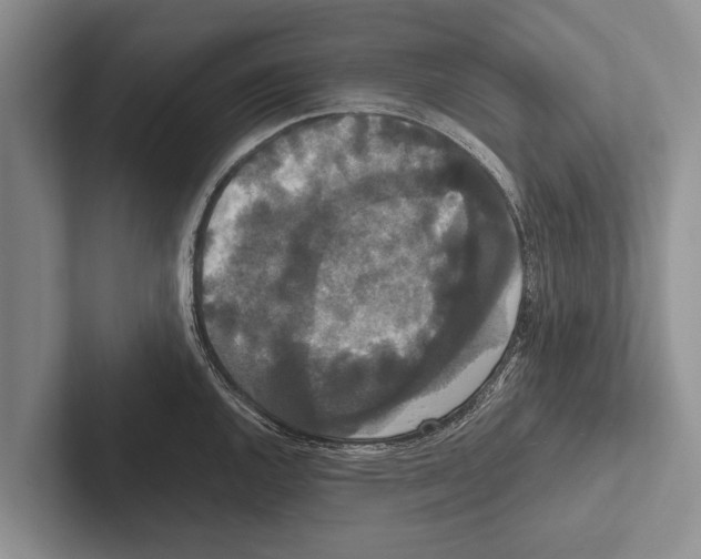 X0000102531144200809051504