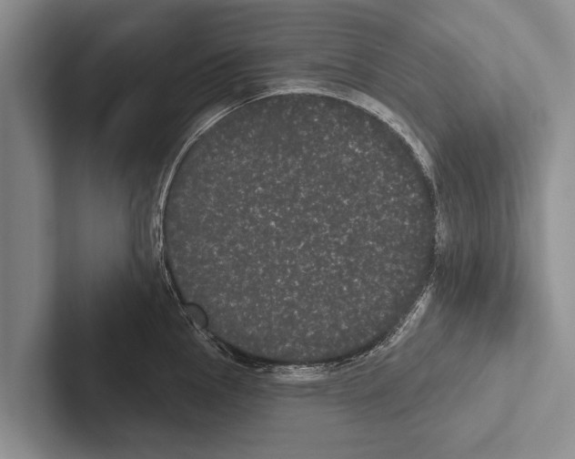 X0000102531145200809051504