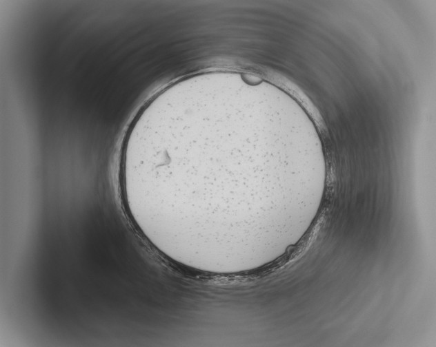 X0000102531146200809051504