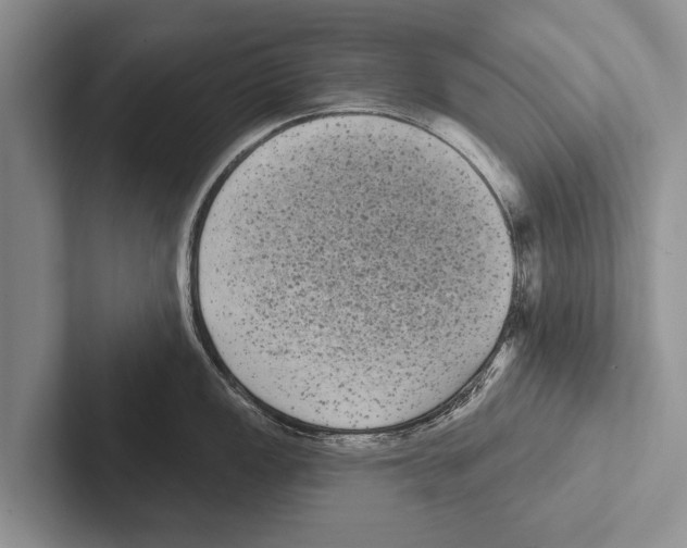 X0000102531149200809051504