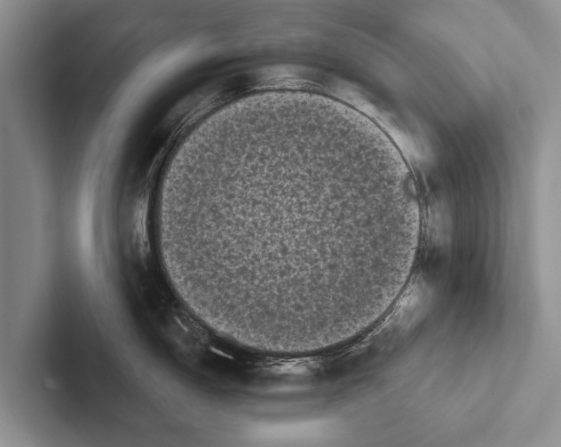 X0000102531150200809051504