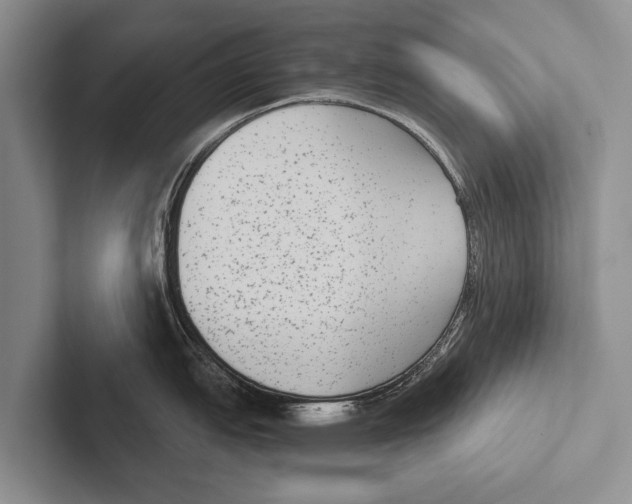 X0000102531151200809051504