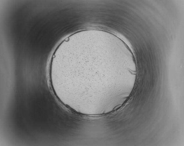 X0000102531152200809051504