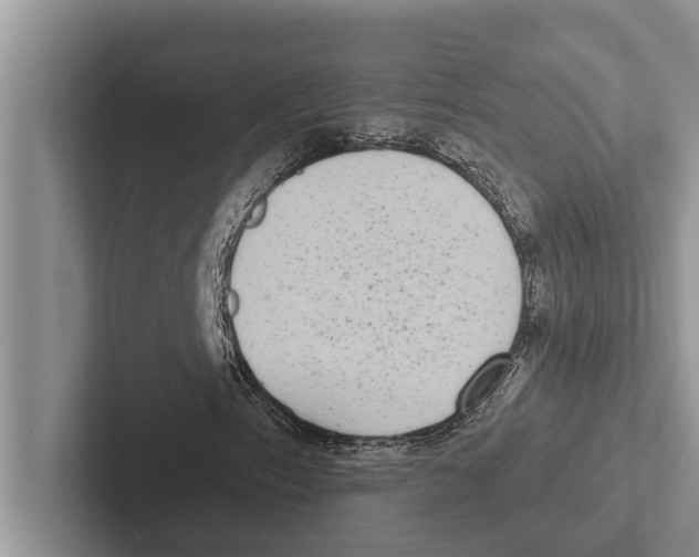 X0000102531153200809051503