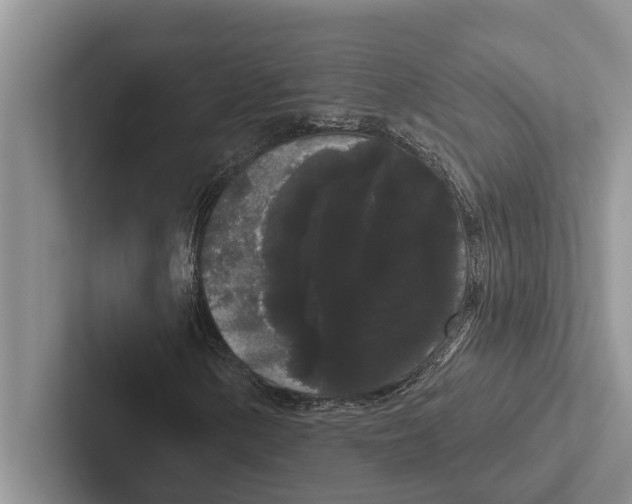 X0000102531154200809051503