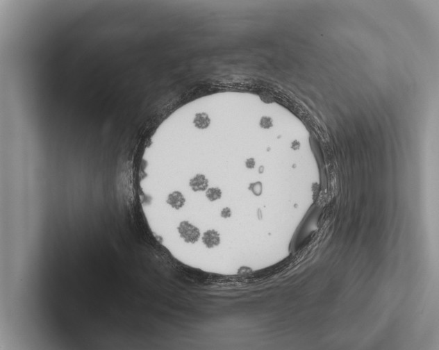 X0000102531156200809051503