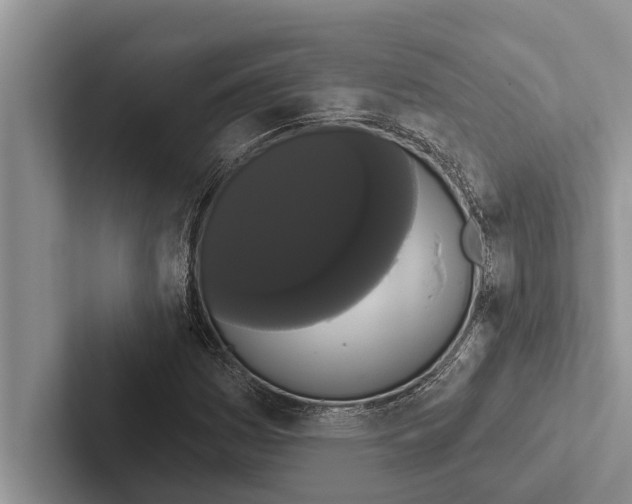 X0000102531161200809051503