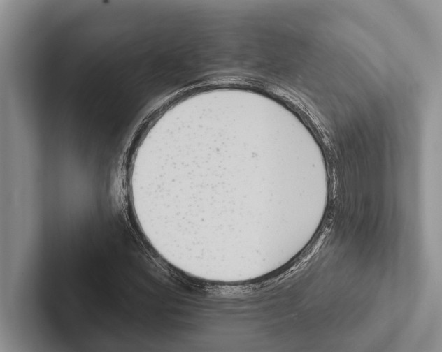 X0000102531164200809051503