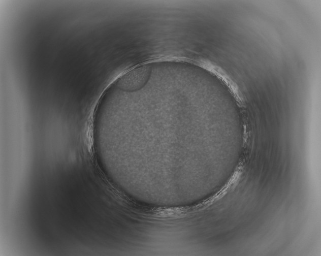 X0000102531165200809051503