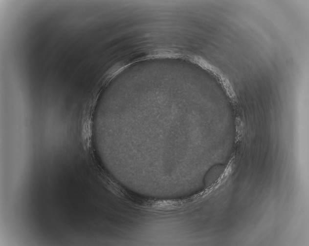X0000102531169200809051503