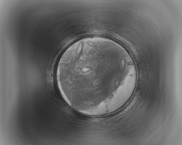 X0000102531170200809051503