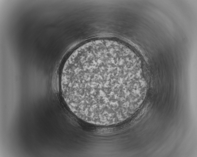 X0000102531171200809051503