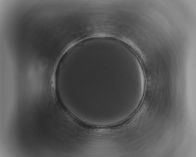 X0000102531173200809051503