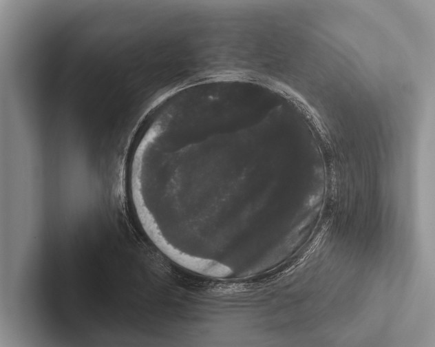 X0000102531174200809051503