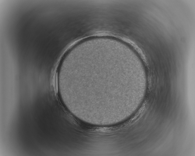 X0000102531175200809051503