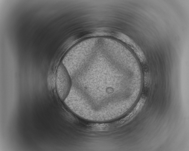 X0000102531177200809051503