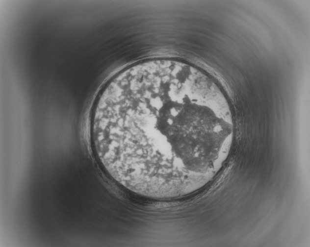 X0000102531179200809051503