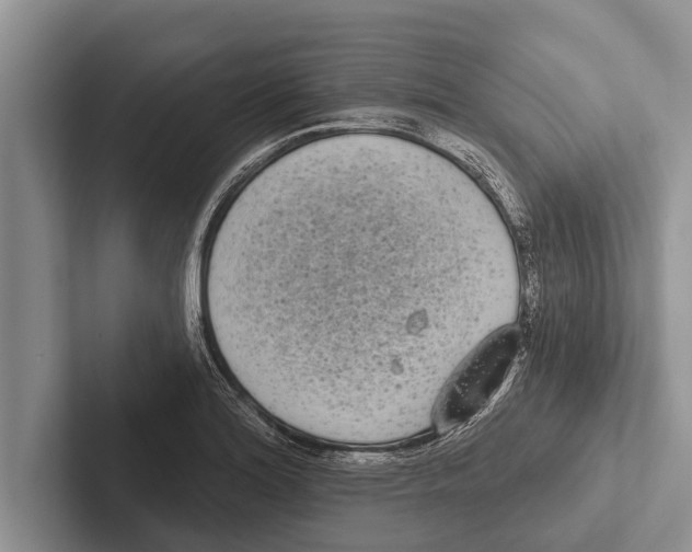 X0000102531180200809051503