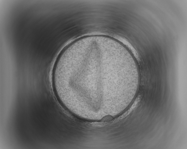 X0000102531181200809051503