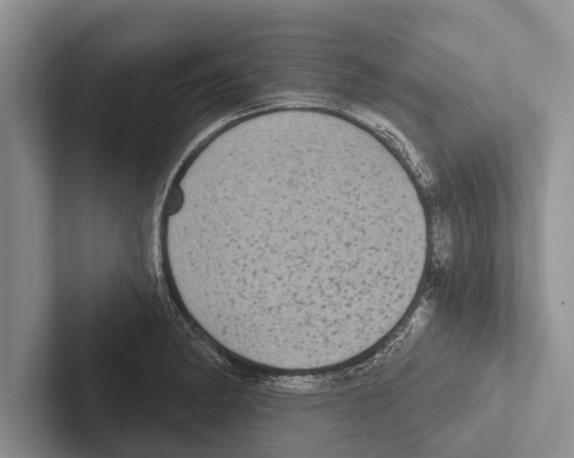 X0000102531182200809051503