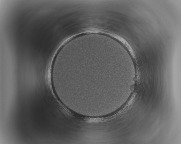 X0000102531183200809051503
