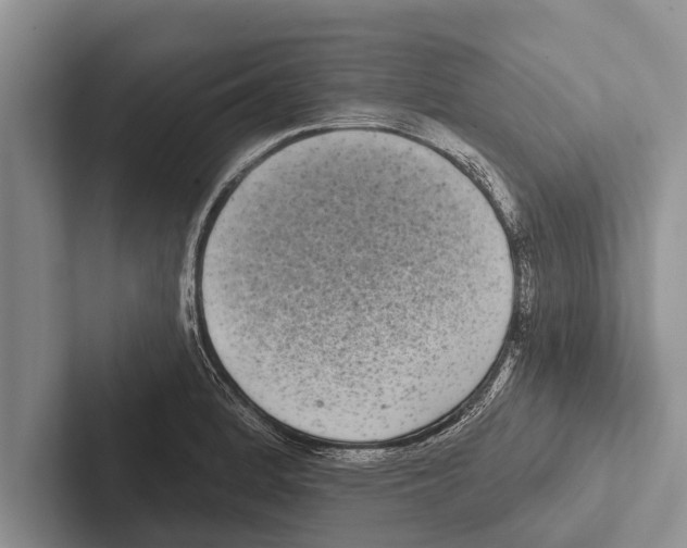 X0000102531184200809051503