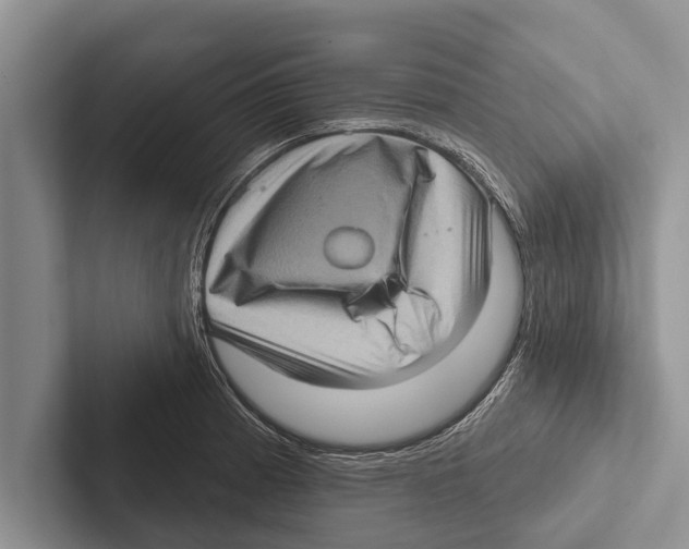 X0000102531185200809051503