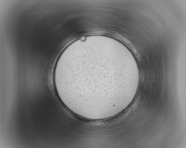 X0000102531186200809051503