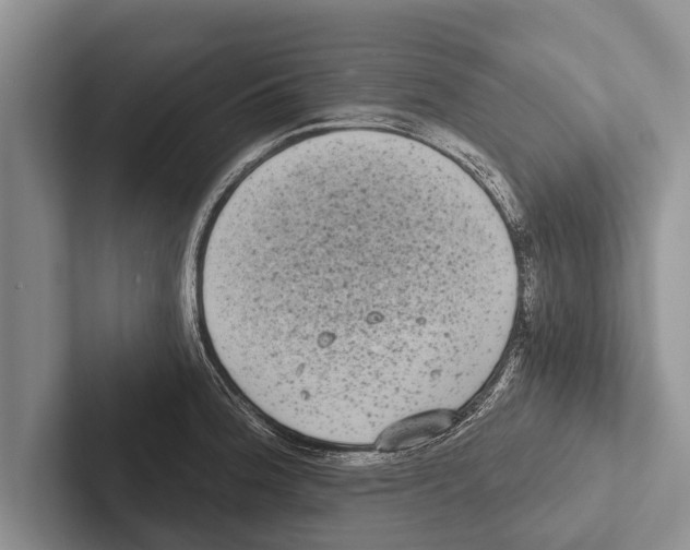 X0000102531188200809051503