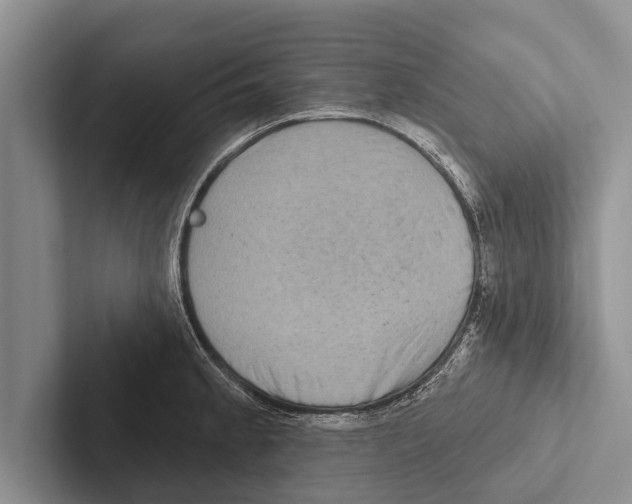 X0000102531189200809051503