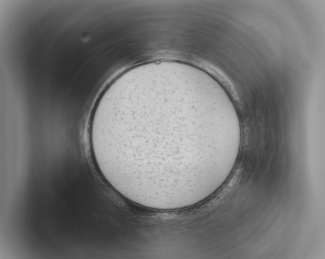 X0000102531190200809051503