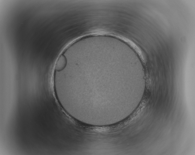 X0000102531191200809051502