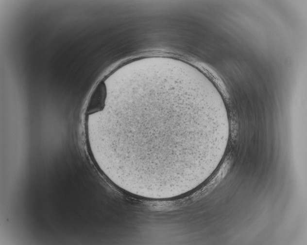 X0000102531192200809051502
