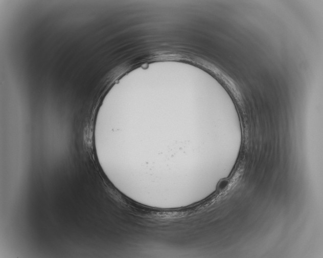 X0000102531193200809051502