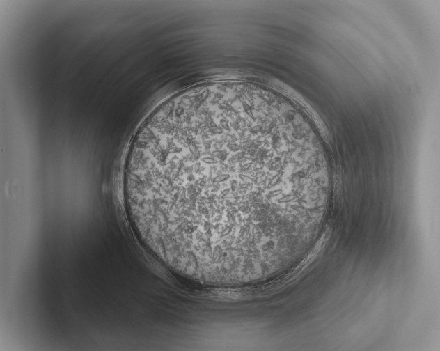X0000102531194200809051502