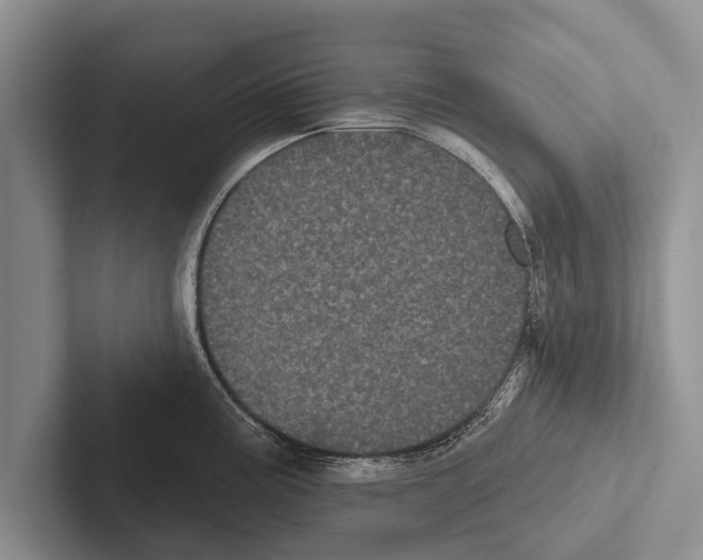 X0000102531195200809051502