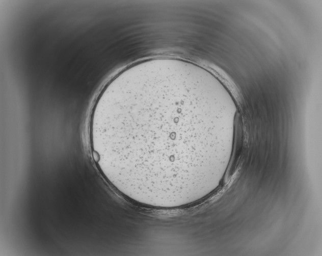 X0000102531196200809051502