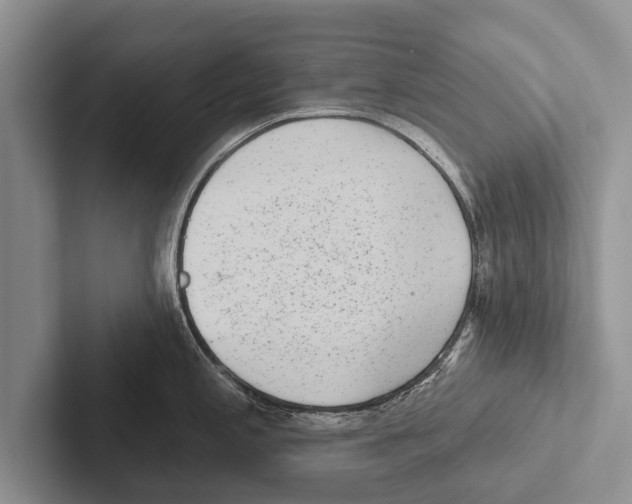 X0000102531197200809051502