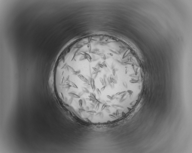 X0000102531198200809051502