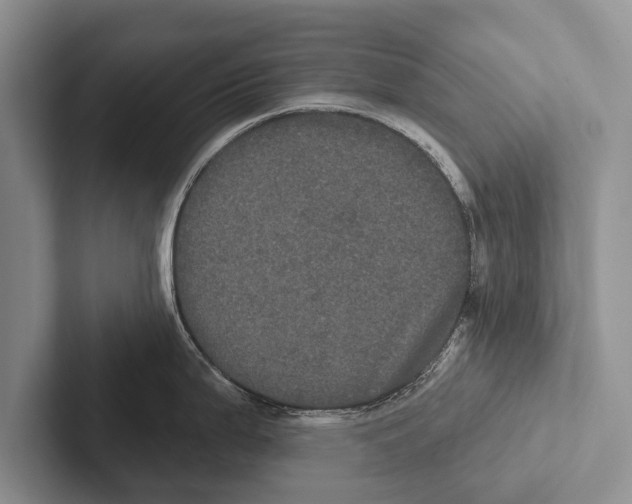 X0000102531199200809051502