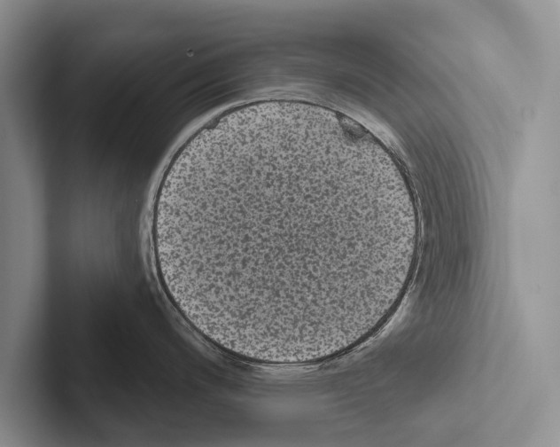 X0000102531200200809051502
