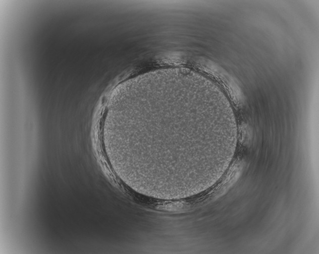 X0000102531201200809051502