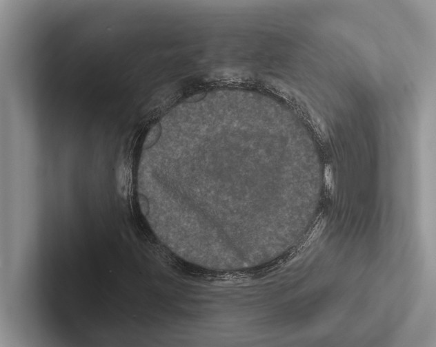 X0000102531203200809051502