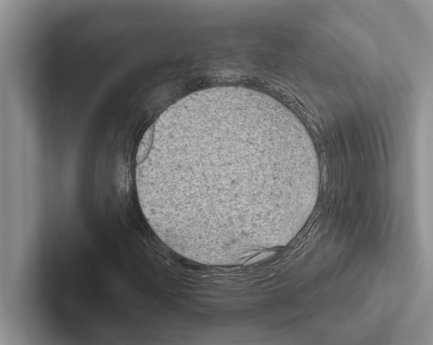 X0000102531204200809051502