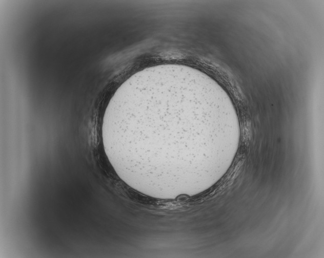 X0000102531205200809051502