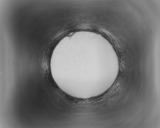 X0000102531206200809051502