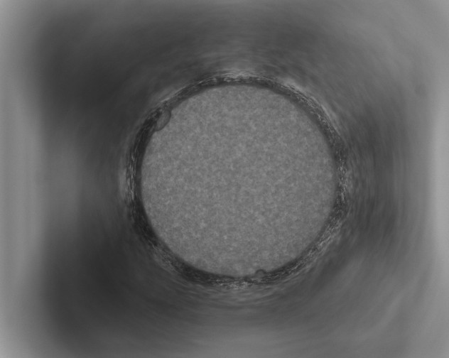 X0000102531207200809051502