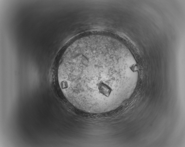 X0000102531208200809051502